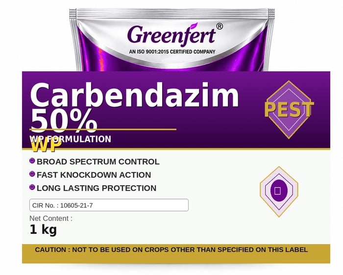 Carbendazim 50% WP — WP packaging bag