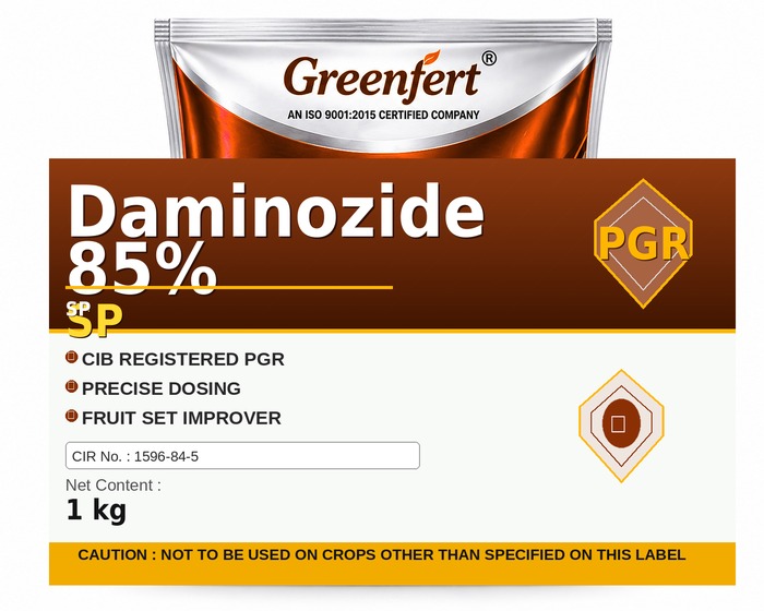 Greenfert Daminozide 85% SP — SP packaging bag