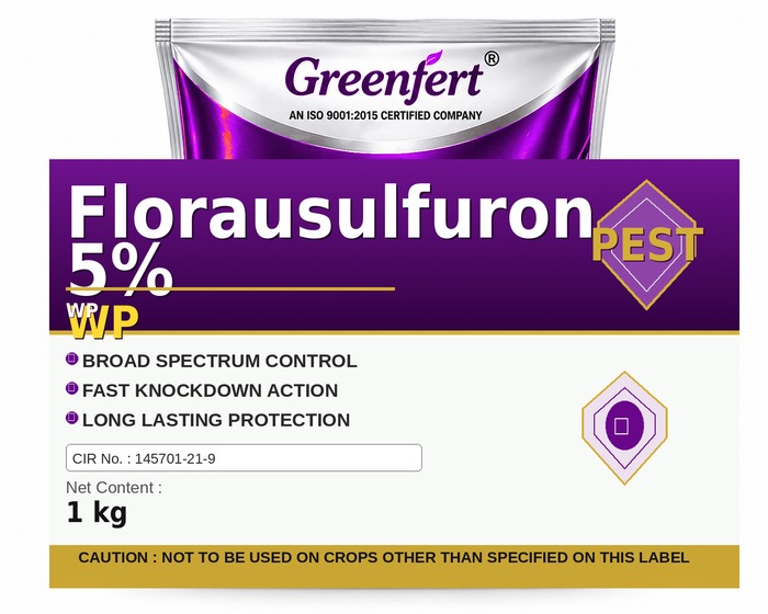 Florausulfuron 5% WP — WP packaging bag