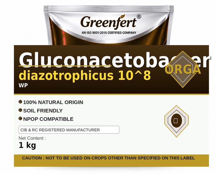 Greenfert Gluconacetobacter diazotrophicus 10^8 — 8 packaging bag