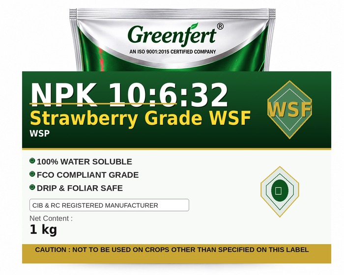 Greenfert NPK 10:6:32 Strawberry Grade WSF — WSF packaging bag