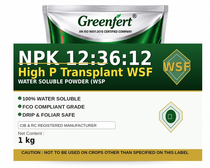 Greenfert NPK 12:36:12 High P Transplant WSF — WSF packaging bag