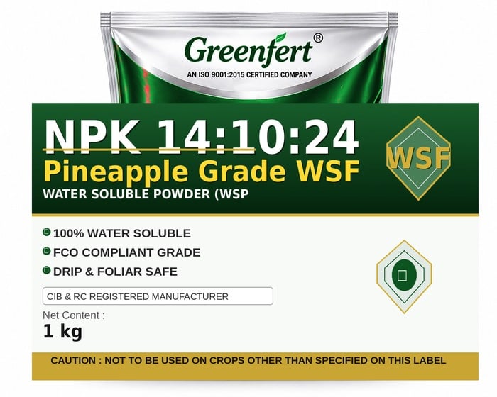 Greenfert NPK 14:10:24 Pineapple Grade WSF — WSF packaging bag