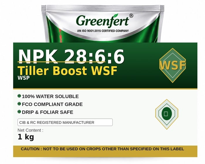 Greenfert NPK 28:6:6 Tiller Boost WSF — WSF packaging bag