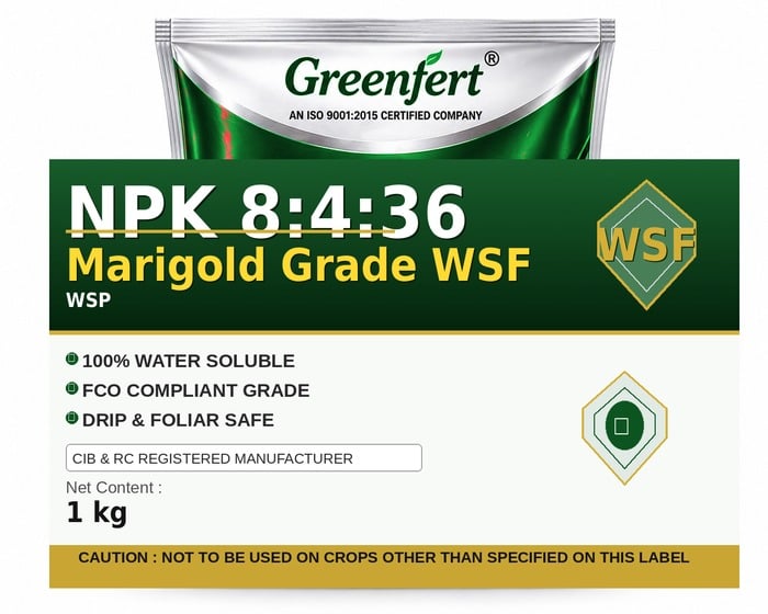 Greenfert NPK 8:4:36 Marigold Grade WSF — WSF packaging bag