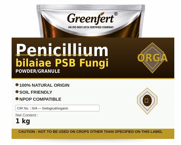 Greenfert Penicillium bilaiae PSB Fungi — FUNGI packaging bag