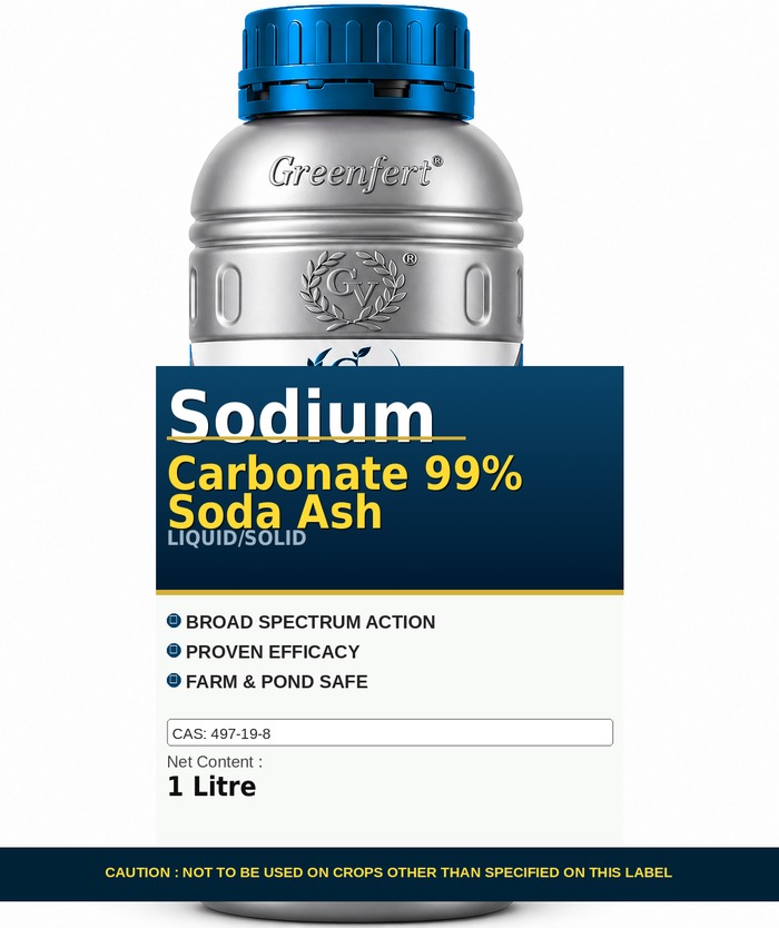 Sodium Carbonate 99% Soda Ash — ASH packaging bag